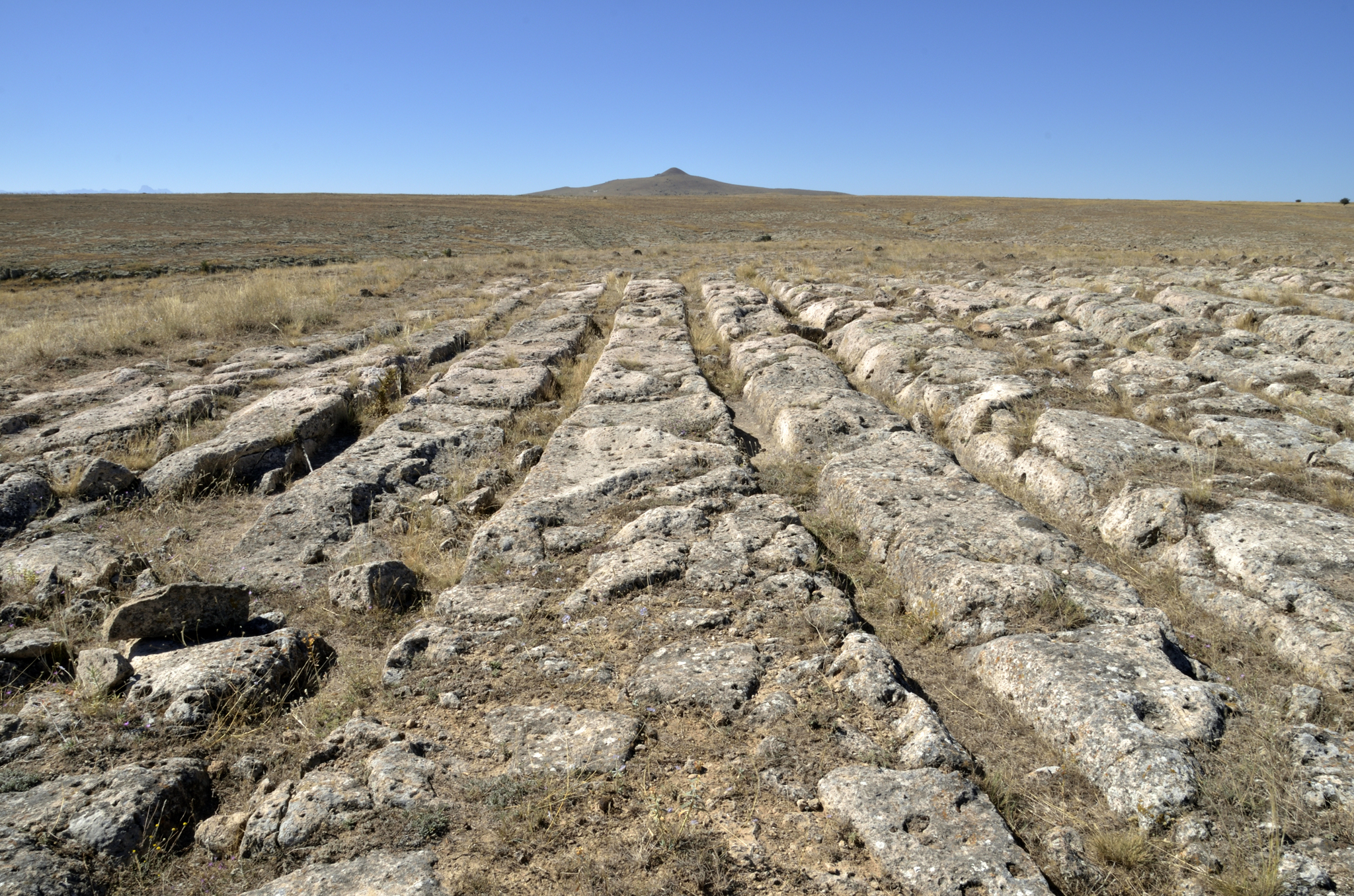 Startseite-Hintergrund mit cart-ruts